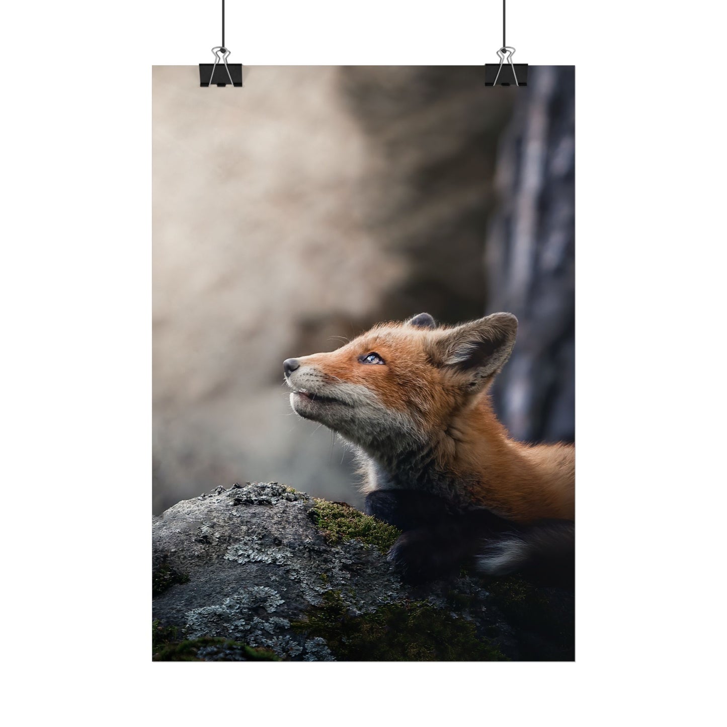 Into The Light poster