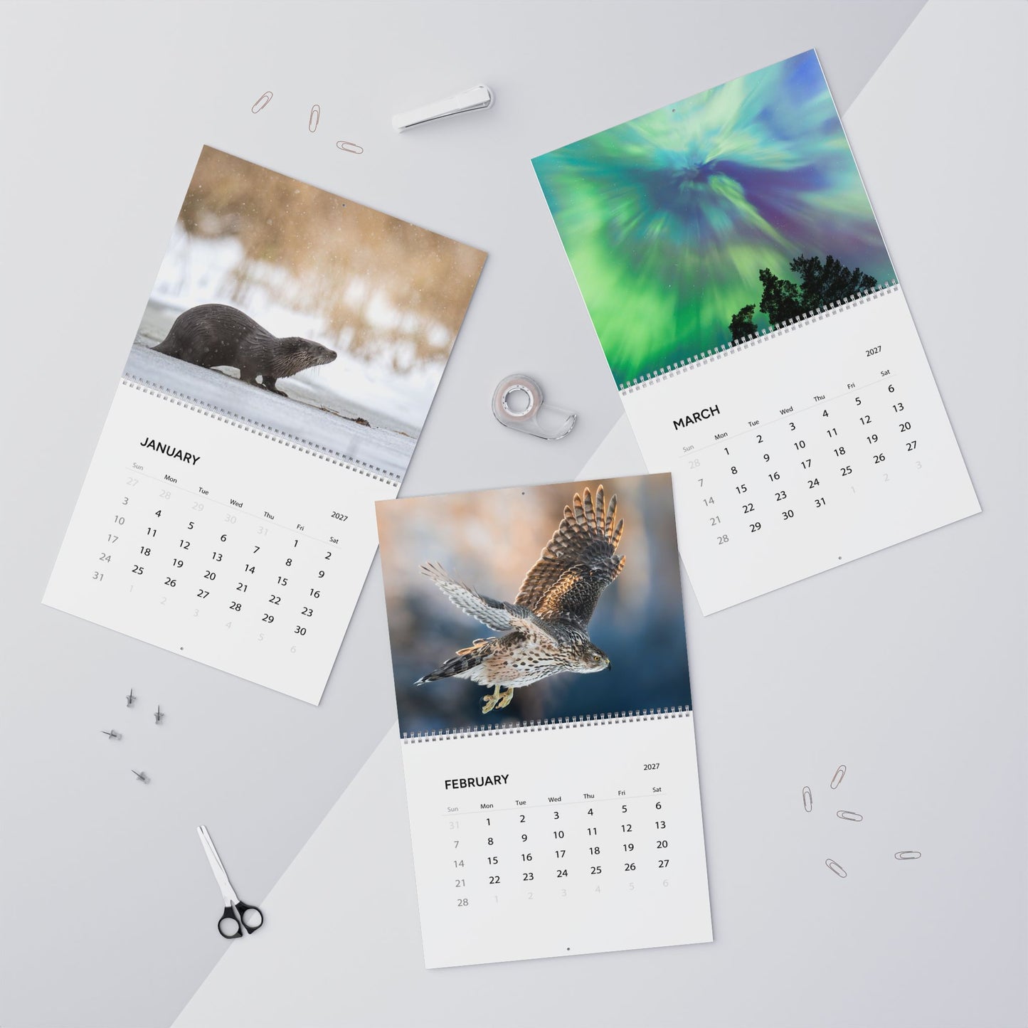 2027 Wildlife Wall Calendar — Nature & Wildlife in Finland by Photosysse