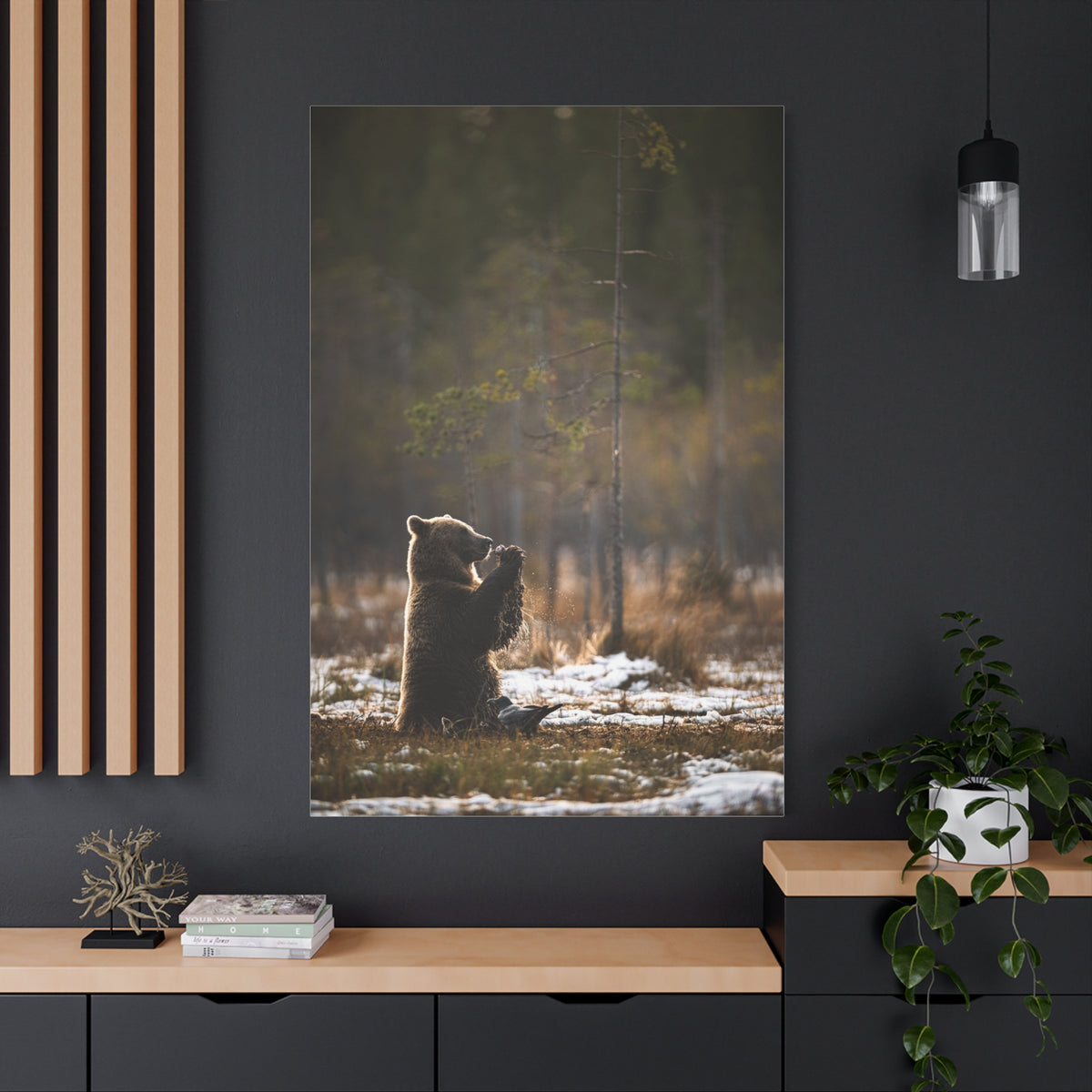 Praying Bear