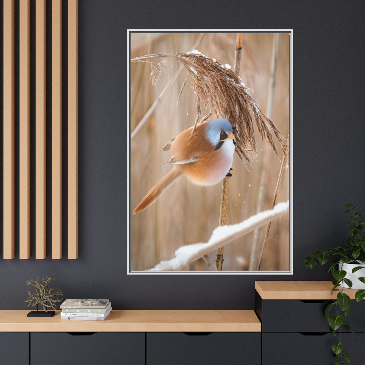 Framed Matte Canvas - Bearded Reedling Bird Photography (Winter Marsh)