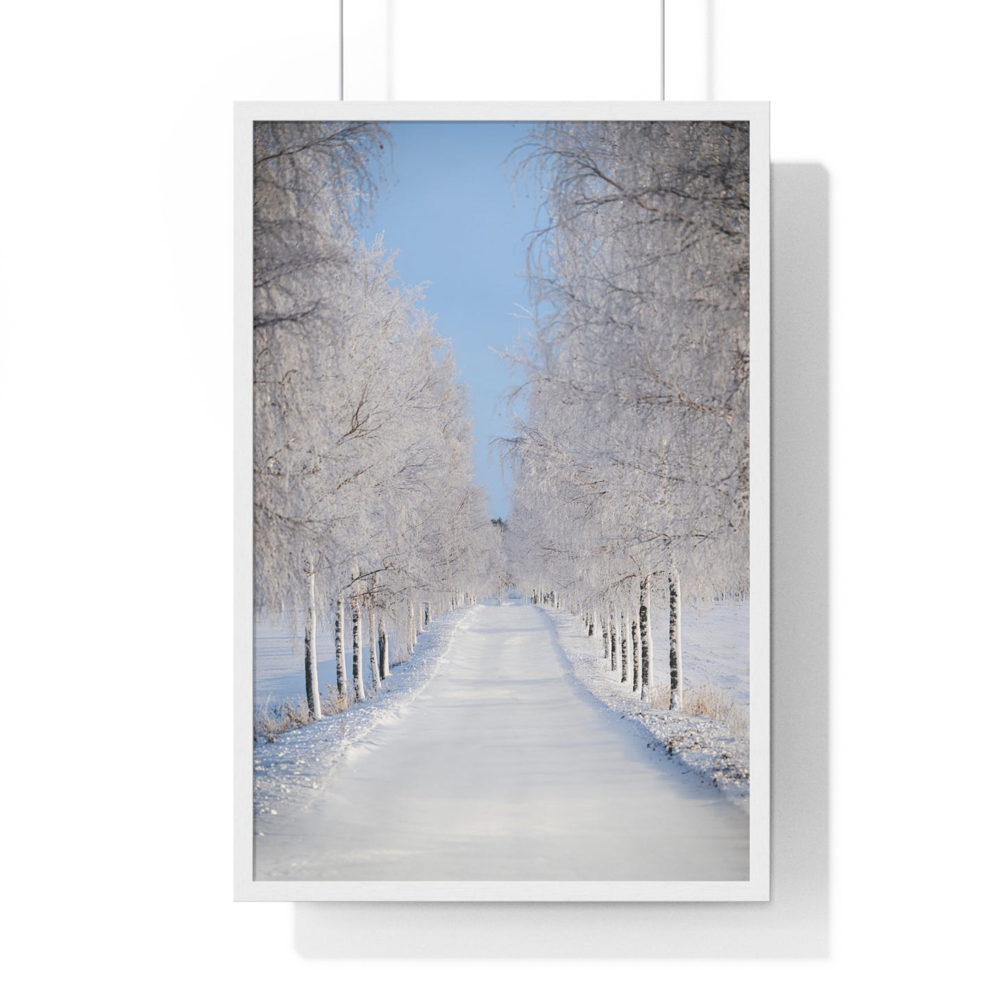 Winter Wonderland