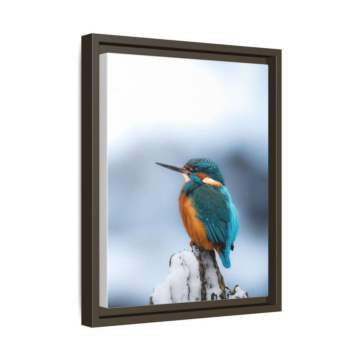 Framed Kingfisher Canvas Print — Matte Nature Wall Art