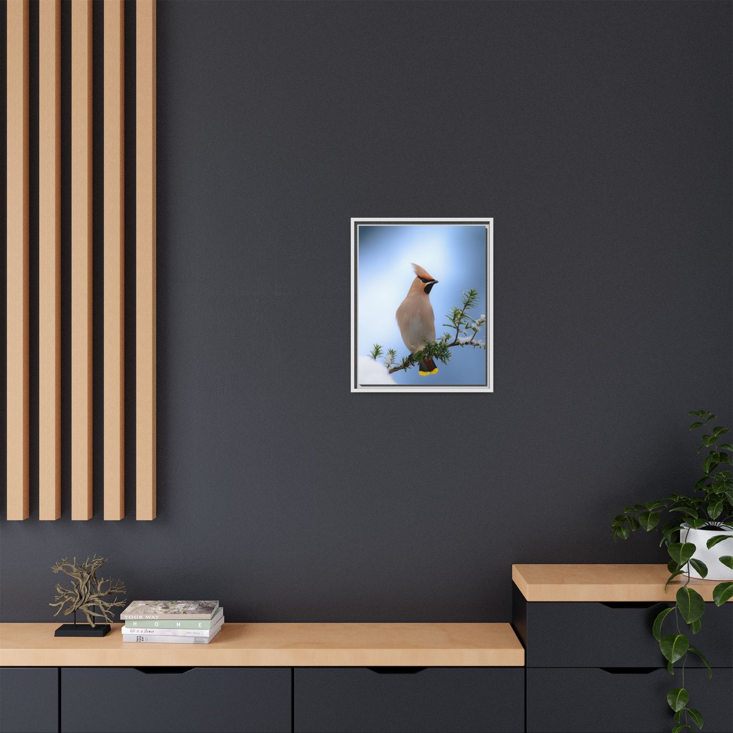 Bohemian Waxwing