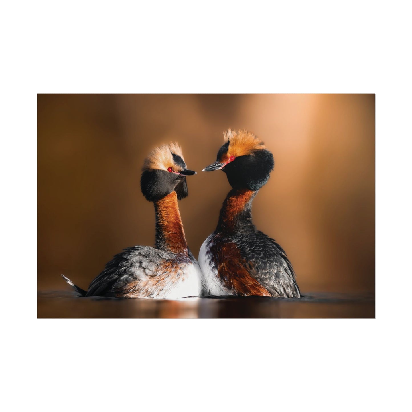 Mating Ritual poster