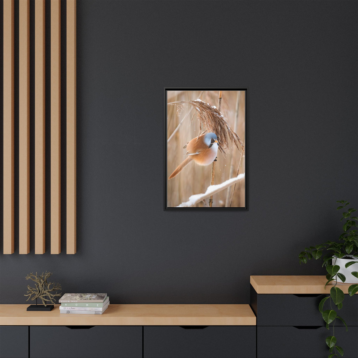 Framed Matte Canvas - Bearded Reedling Bird Photography (Winter Marsh)