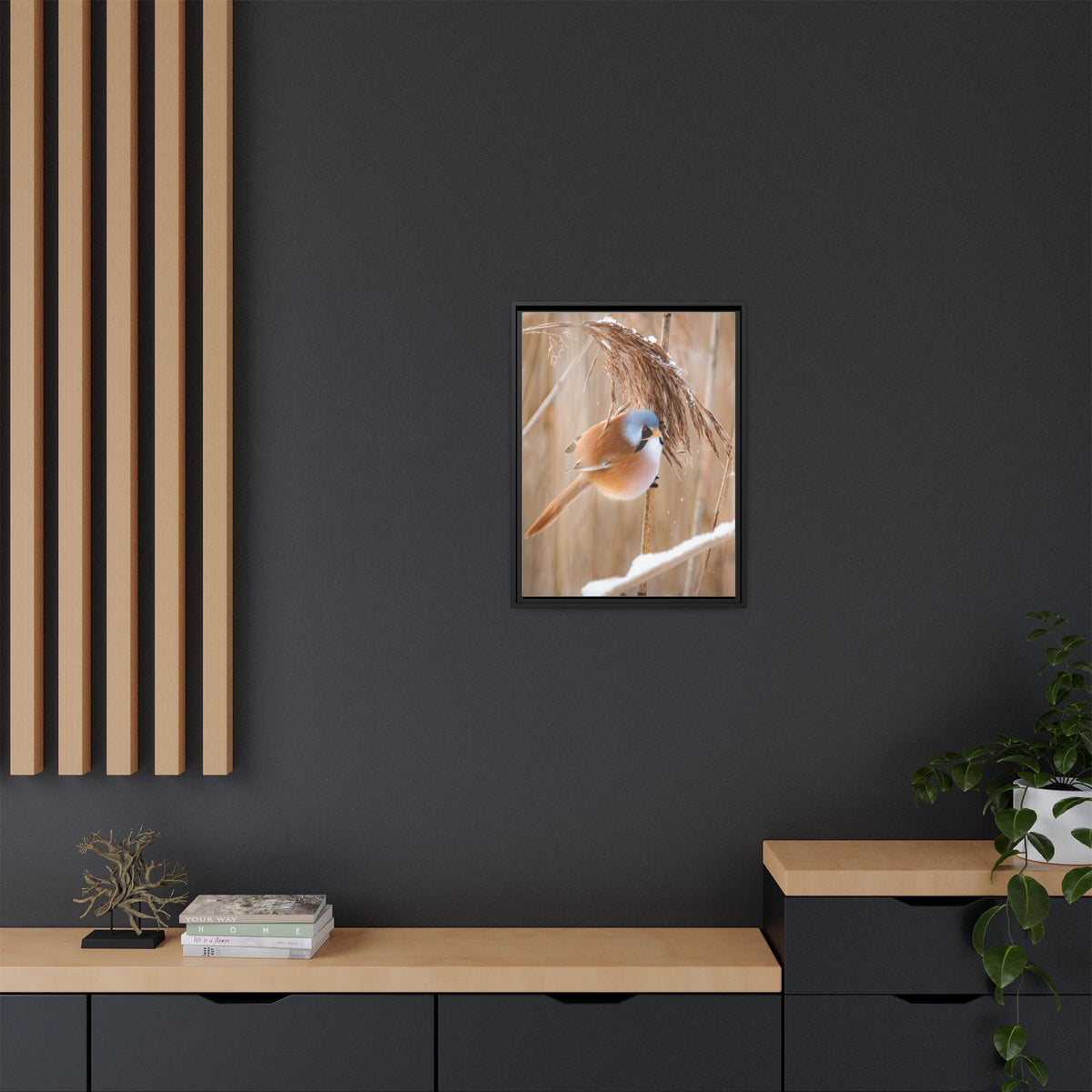 Framed Matte Canvas - Bearded Reedling Bird Photography (Winter Marsh)