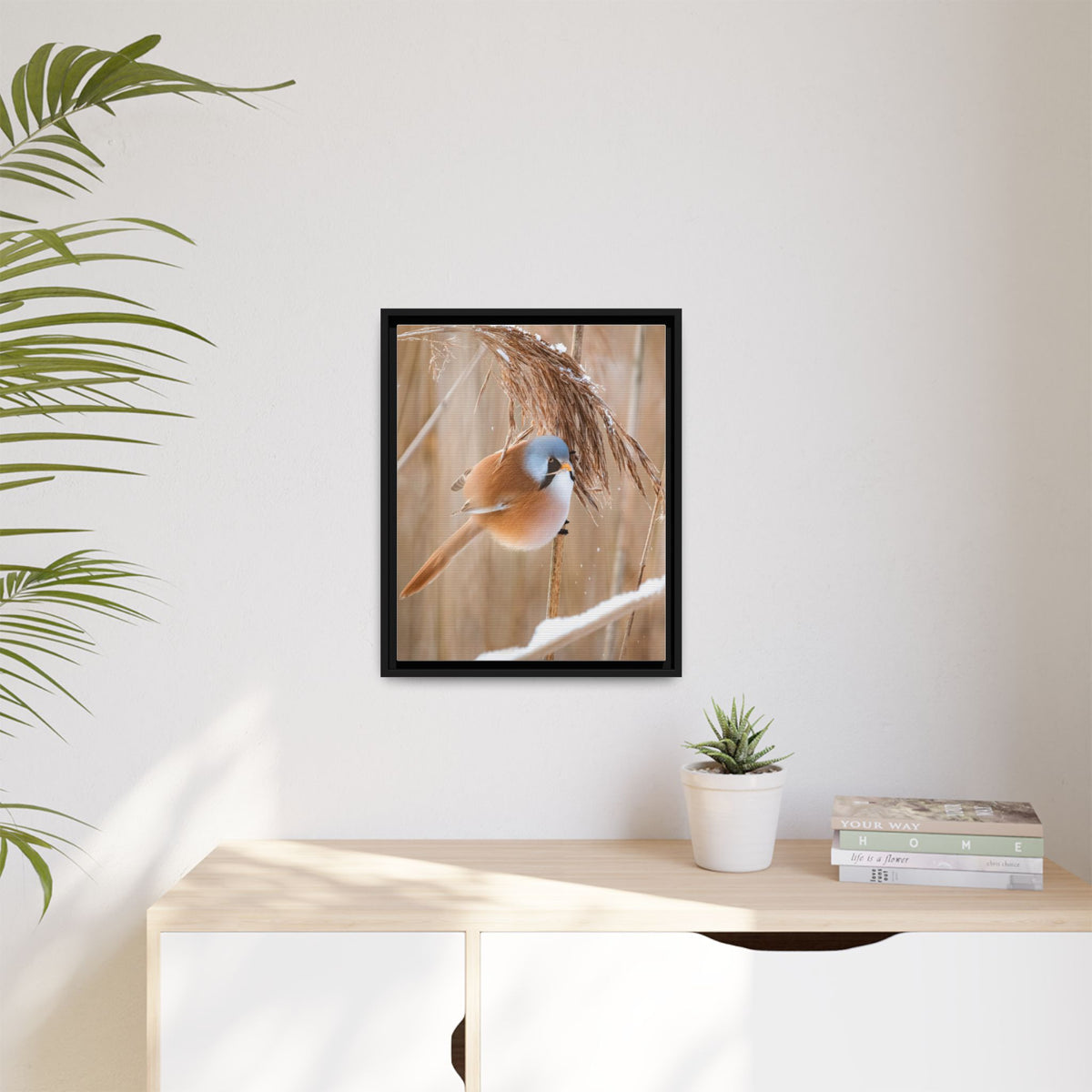 Framed Matte Canvas - Bearded Reedling Bird Photography (Winter Marsh)