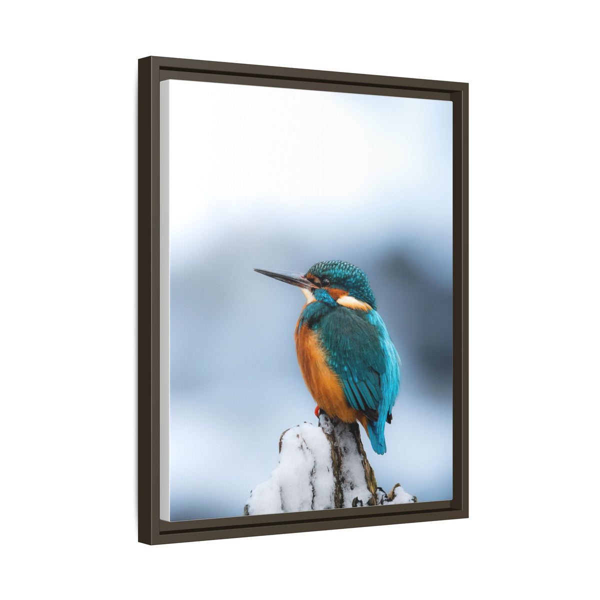 Framed Kingfisher Canvas Print — Matte Nature Wall Art