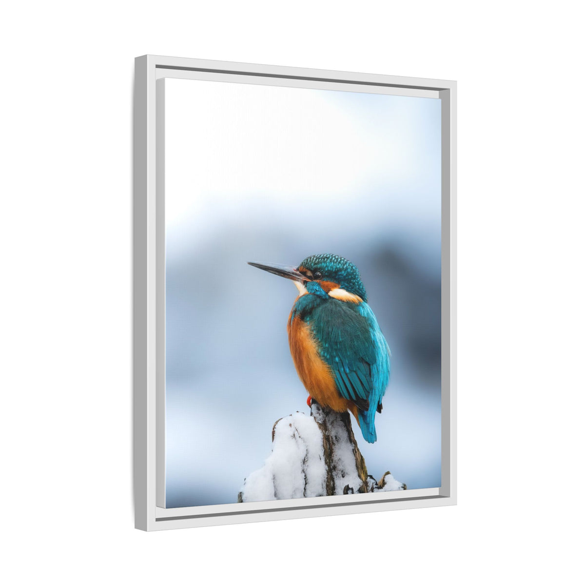 Framed Kingfisher Canvas Print — Matte Nature Wall Art