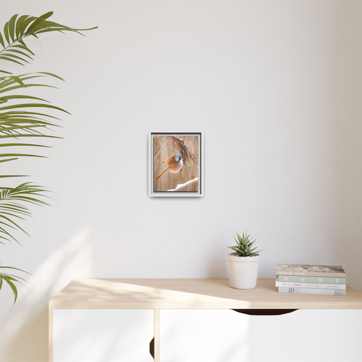 Framed Matte Canvas - Bearded Reedling Bird Photography (Winter Marsh)