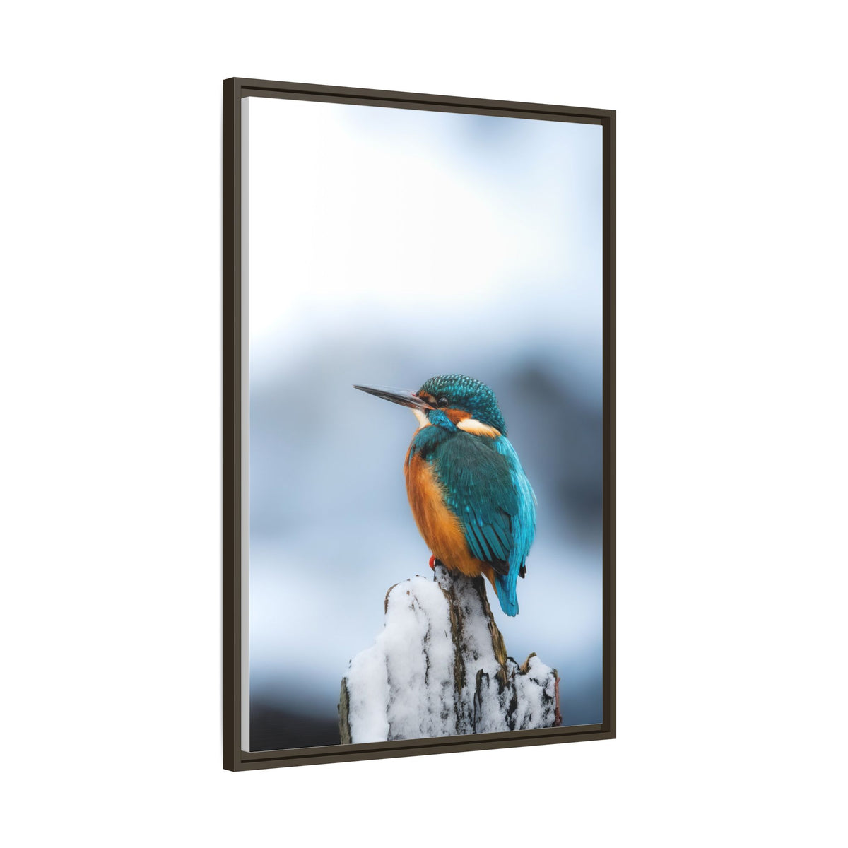 Framed Kingfisher Canvas Print — Matte Nature Wall Art