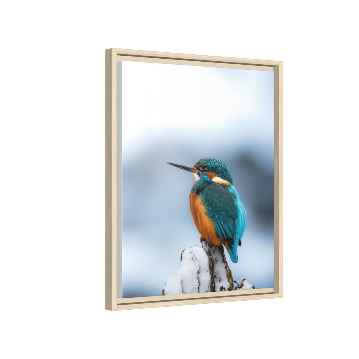 Framed Kingfisher Canvas Print — Matte Nature Wall Art