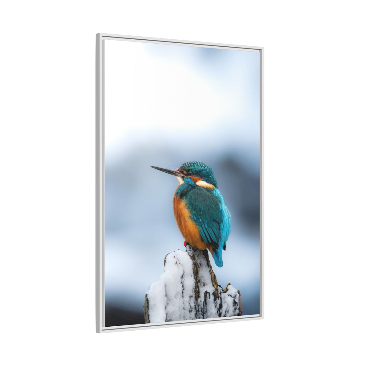 Framed Kingfisher Canvas Print — Matte Nature Wall Art
