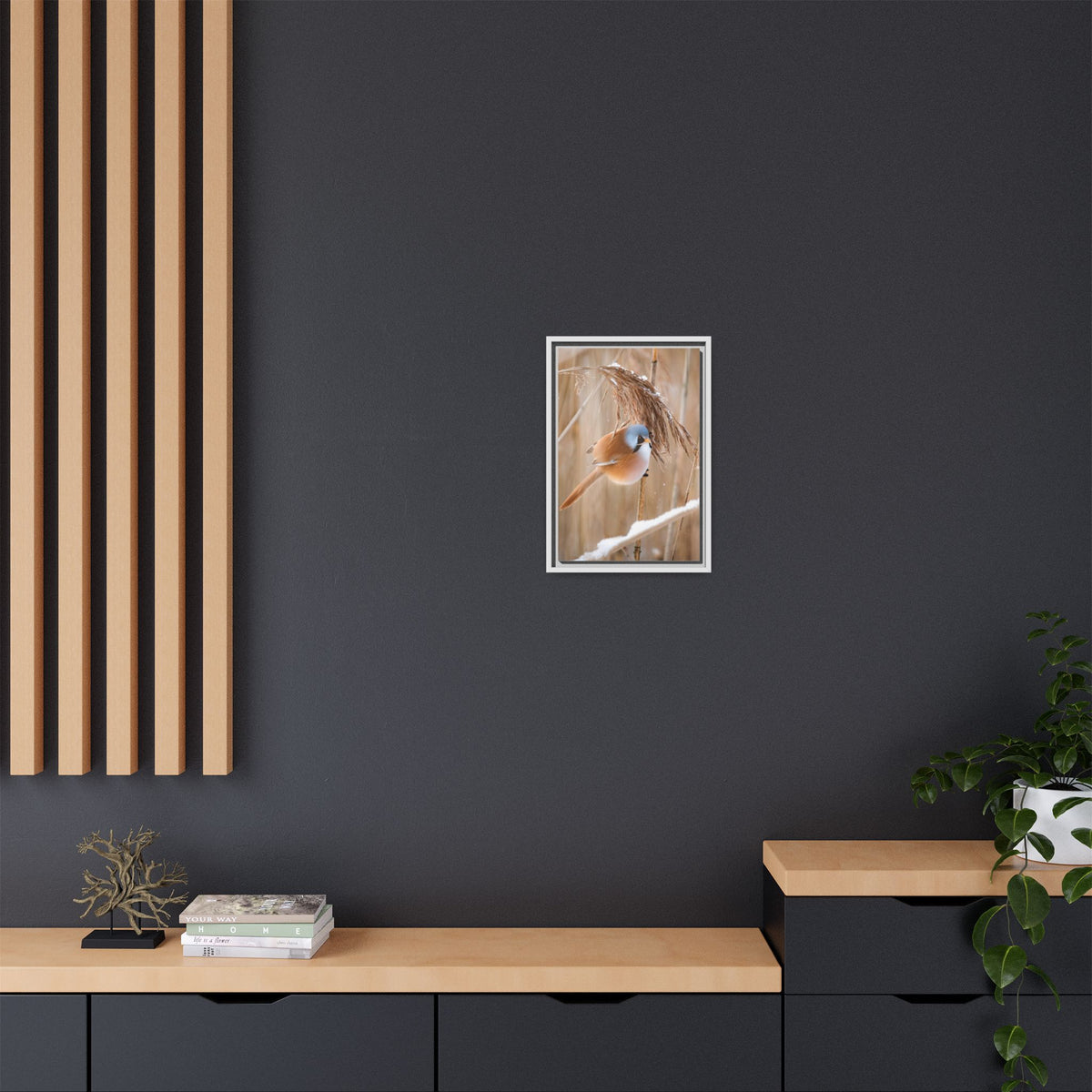 Framed Matte Canvas - Bearded Reedling Bird Photography (Winter Marsh)