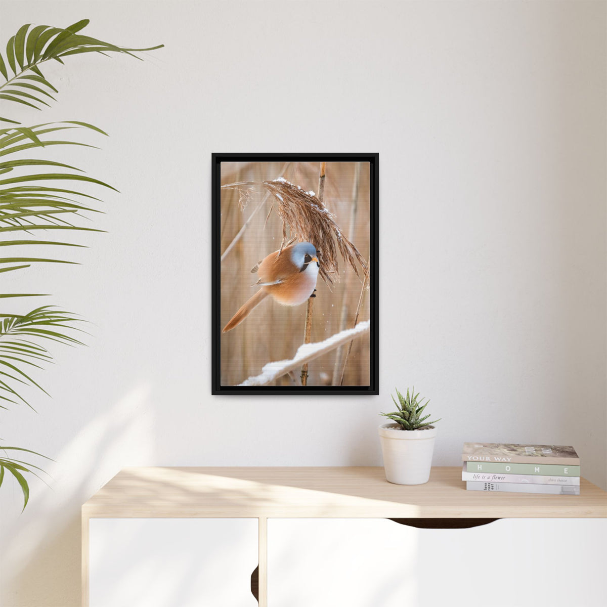 Framed Matte Canvas - Bearded Reedling Bird Photography (Winter Marsh)