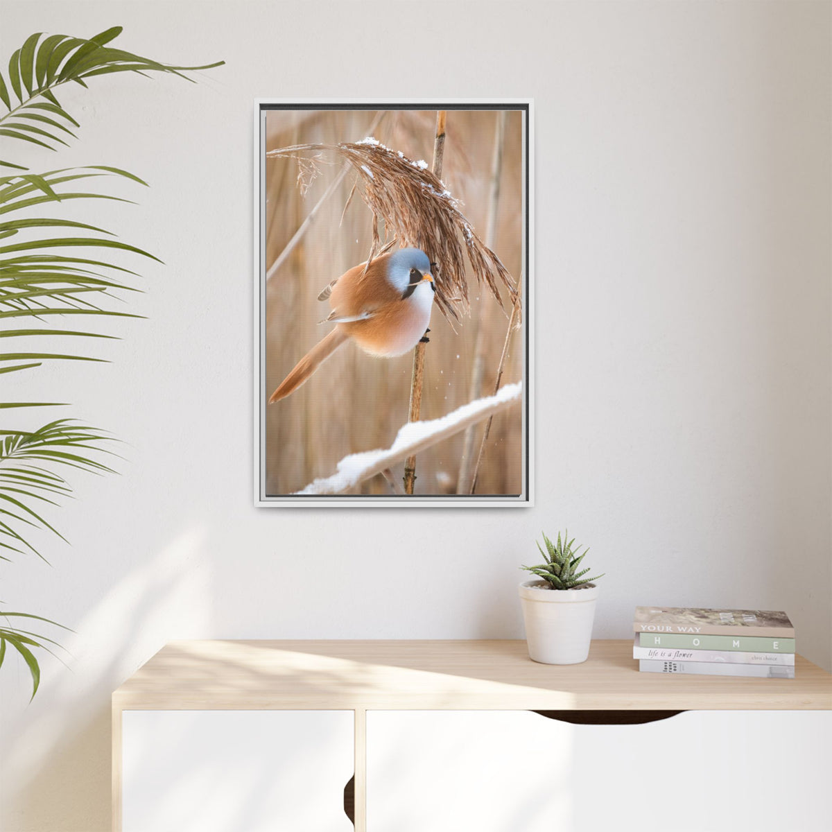Framed Matte Canvas - Bearded Reedling Bird Photography (Winter Marsh)