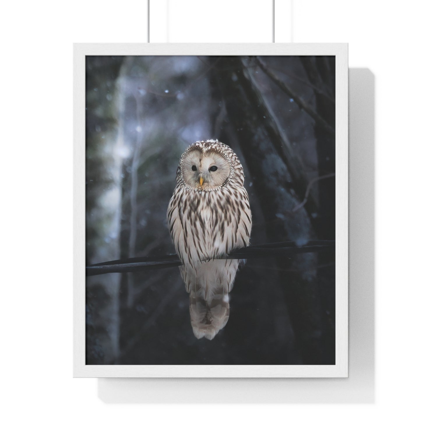 Winter Owl
