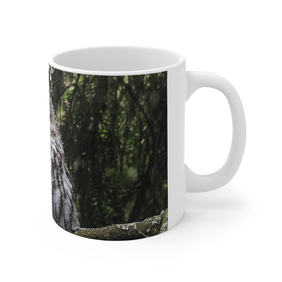 Sleepy Owl Ceramic Coffee Cups, 11oz, 15oz