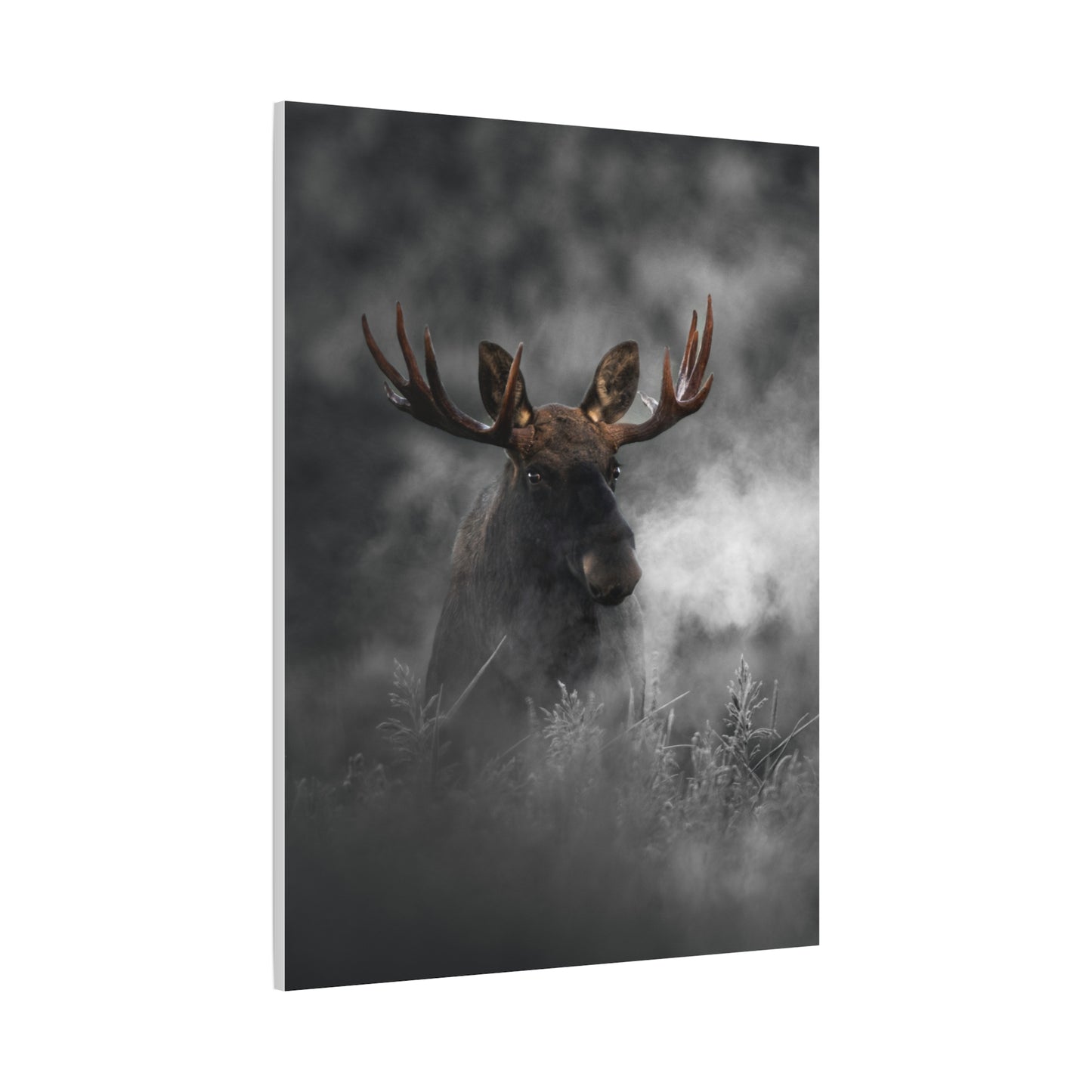 Mighty Moose