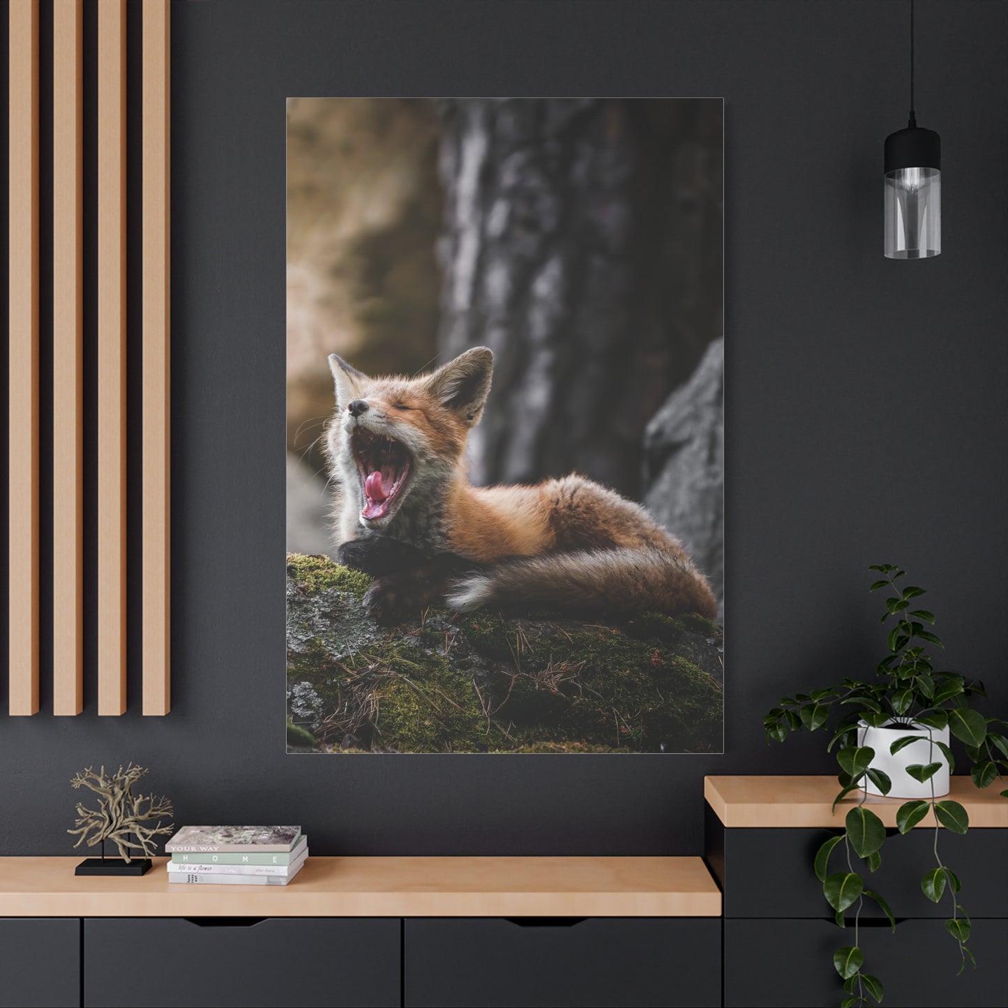 Sleepy fox