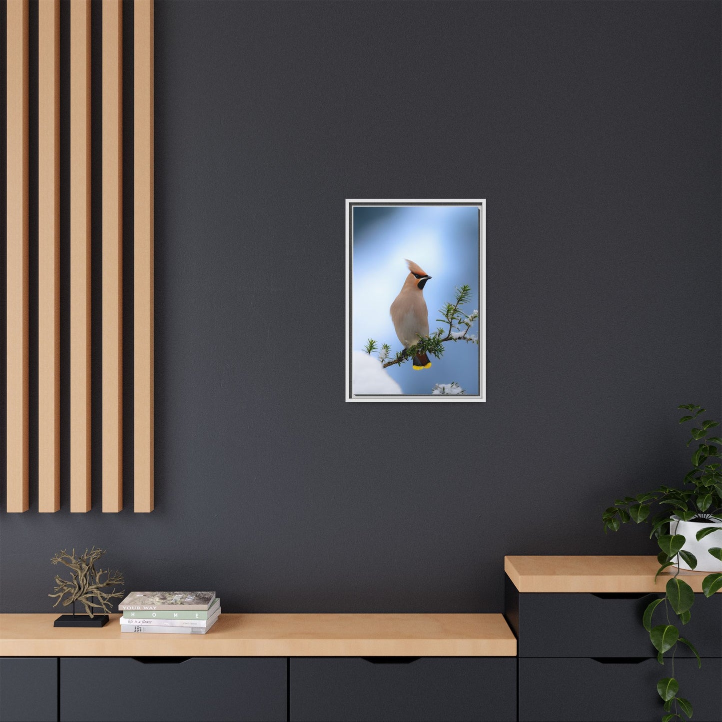 Bohemian Waxwing