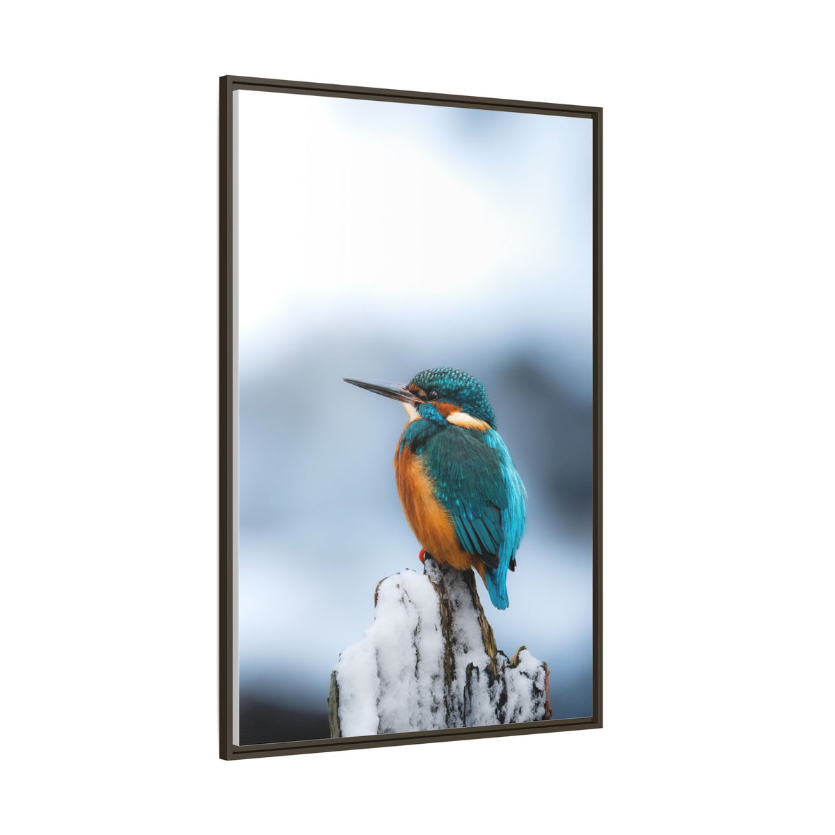 Framed Kingfisher Canvas Print — Matte Nature Wall Art