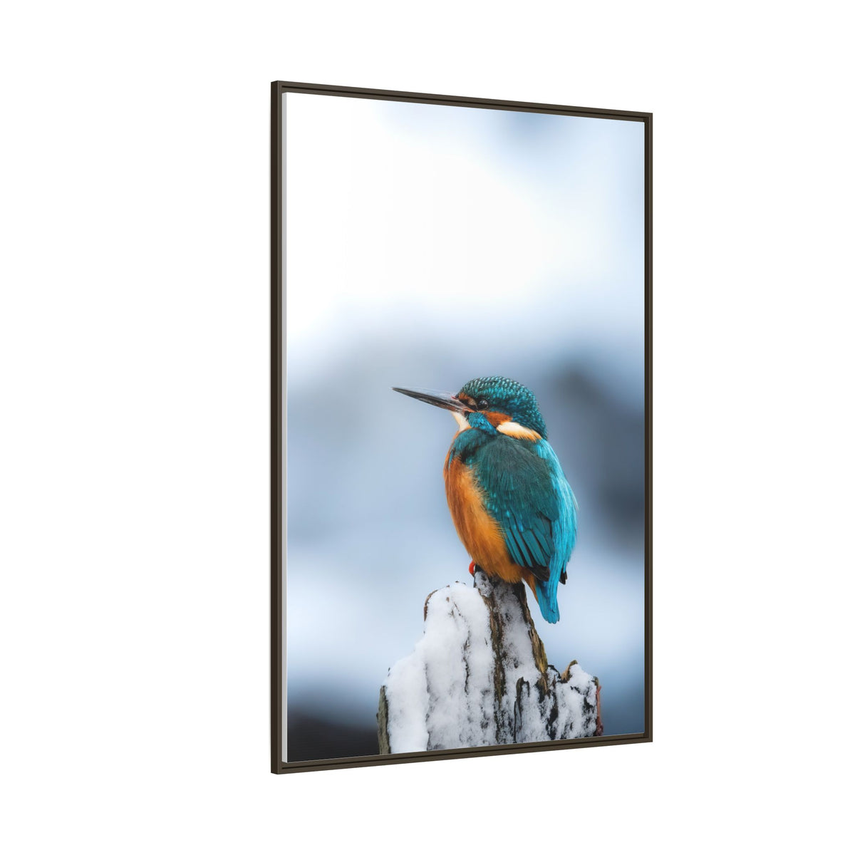 Framed Kingfisher Canvas Print — Matte Nature Wall Art