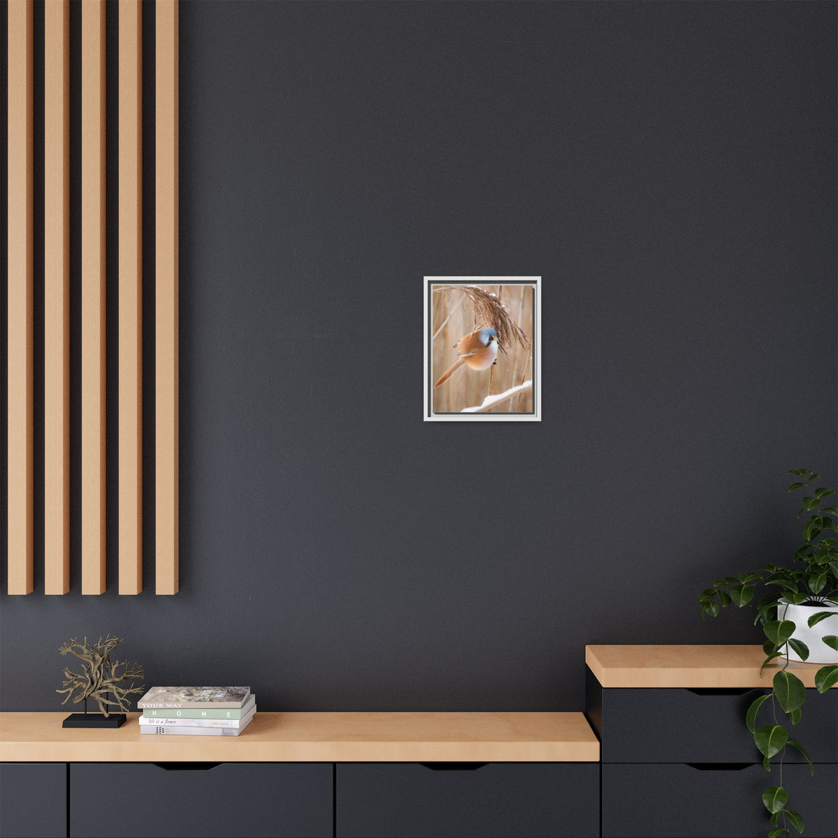 Framed Matte Canvas - Bearded Reedling Bird Photography (Winter Marsh)
