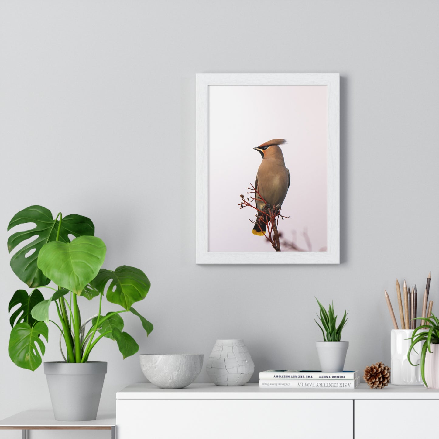 Bohemian Waxwing during sunset