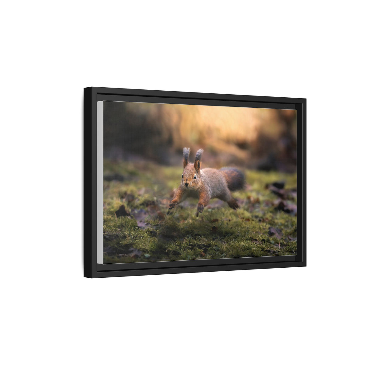 Framed Matte Canvas – Red Squirrel in Mossy Forest Wall Art