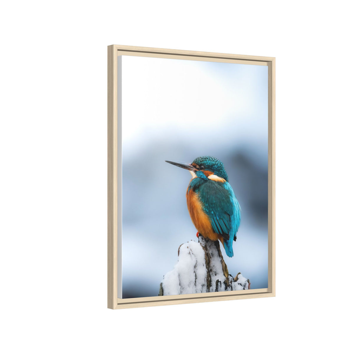 Framed Kingfisher Canvas Print — Matte Nature Wall Art