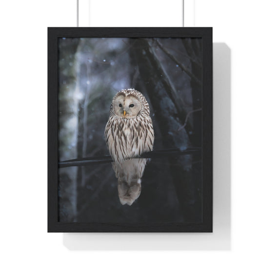 Winter Owl