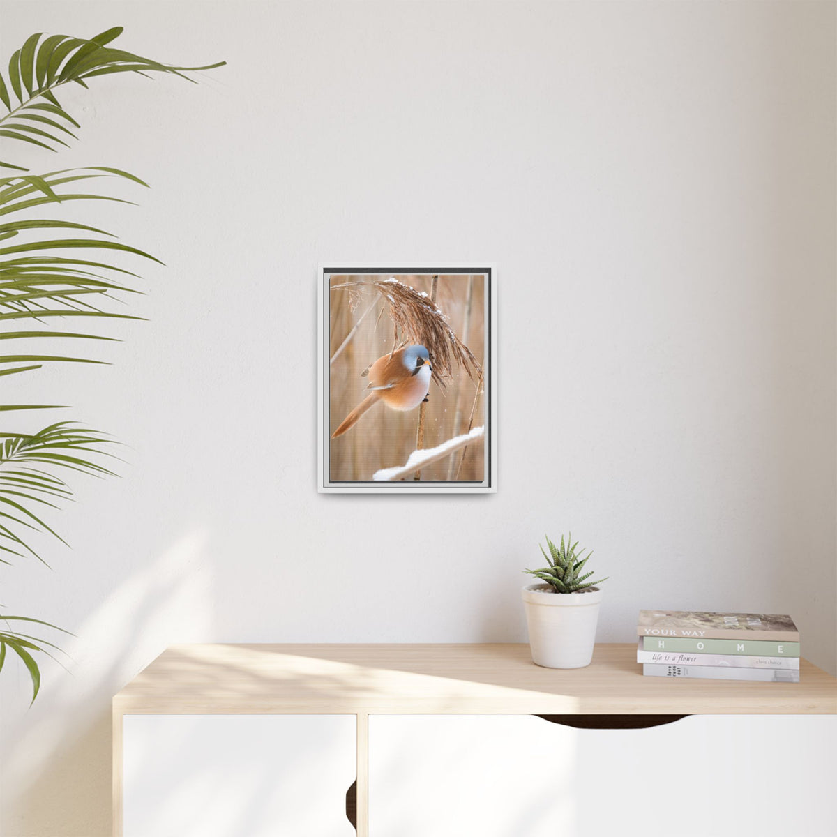 Framed Matte Canvas - Bearded Reedling Bird Photography (Winter Marsh)