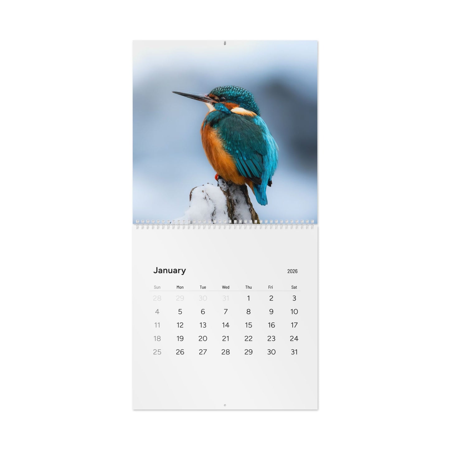 Wall Calendar Nature Photos from Finland 2026