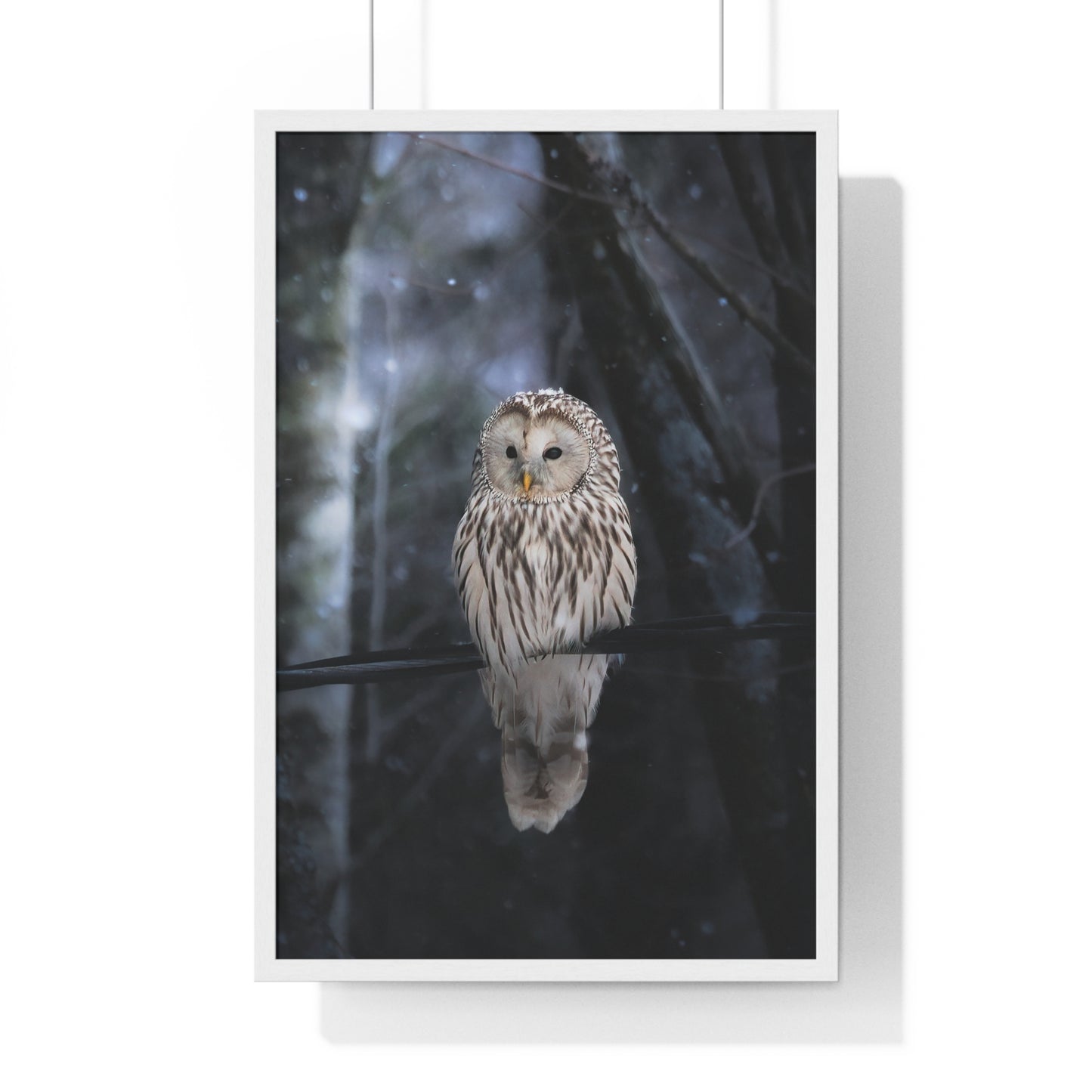 Winter Owl