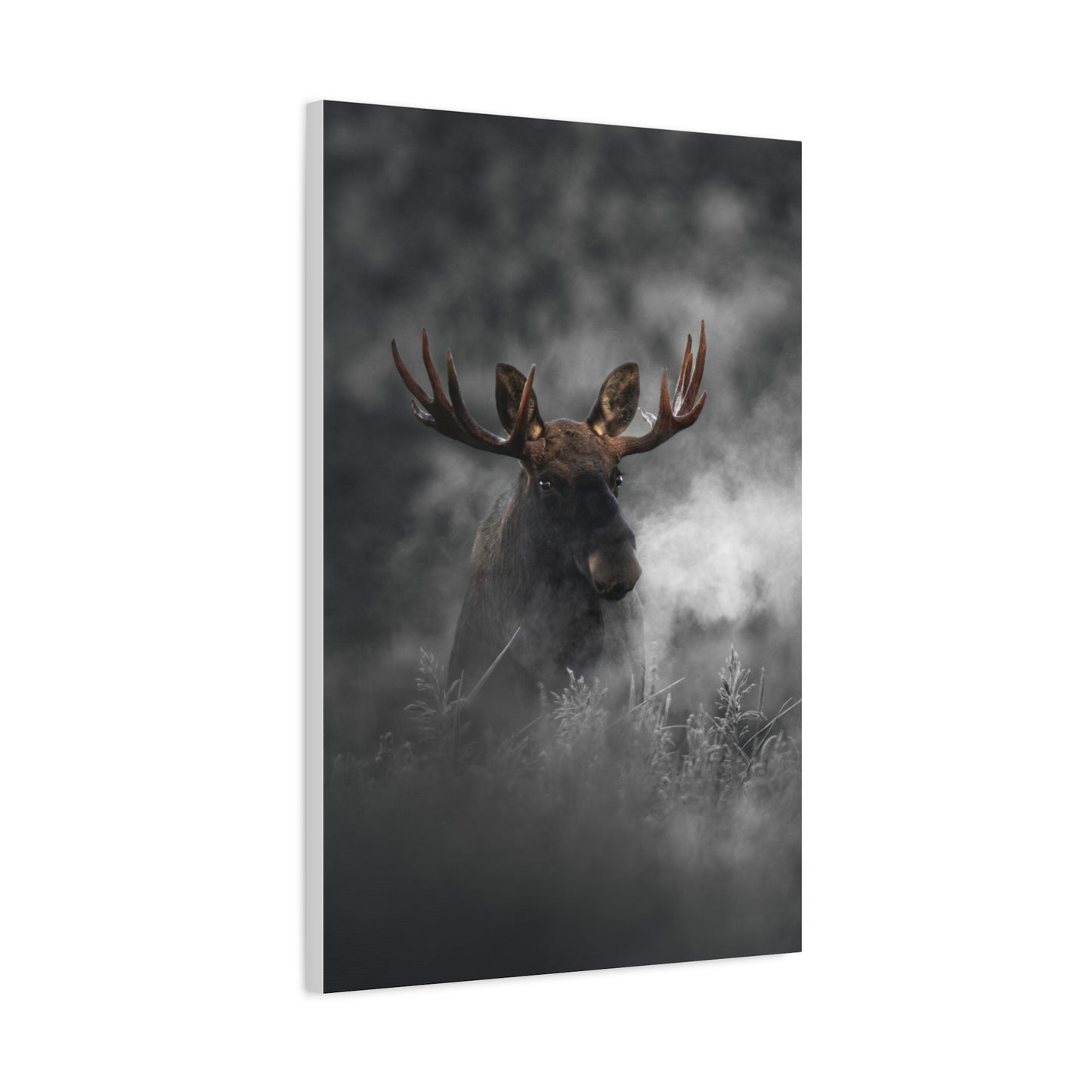 Mighty Moose
