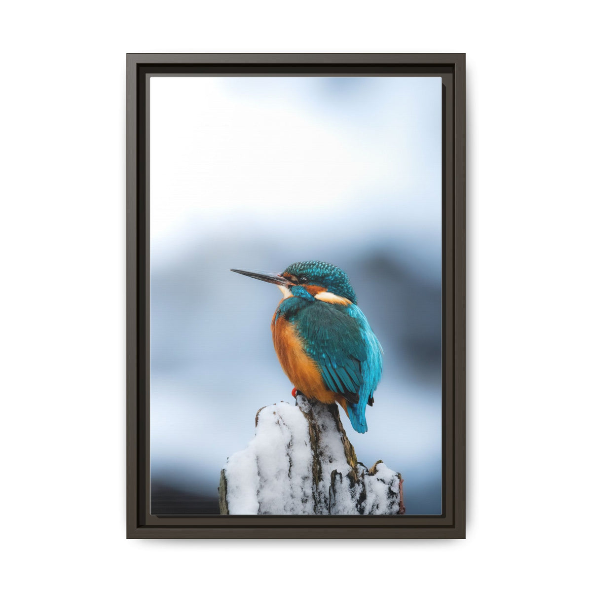 Framed Kingfisher Canvas Print — Matte Nature Wall Art