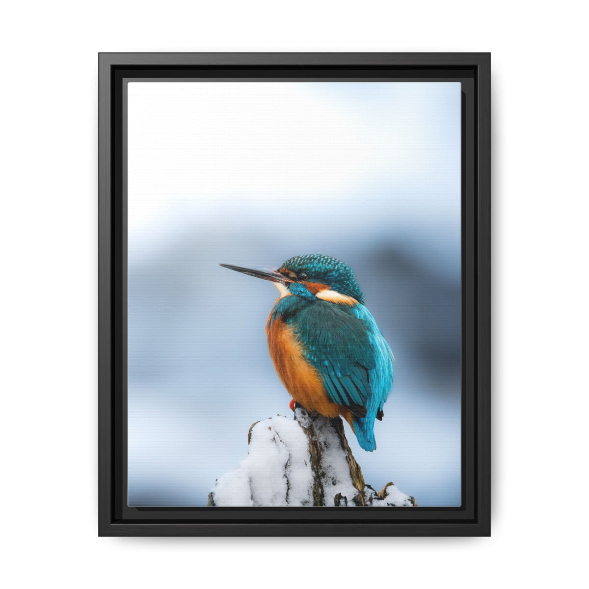 Framed Kingfisher Canvas Print — Matte Nature Wall Art