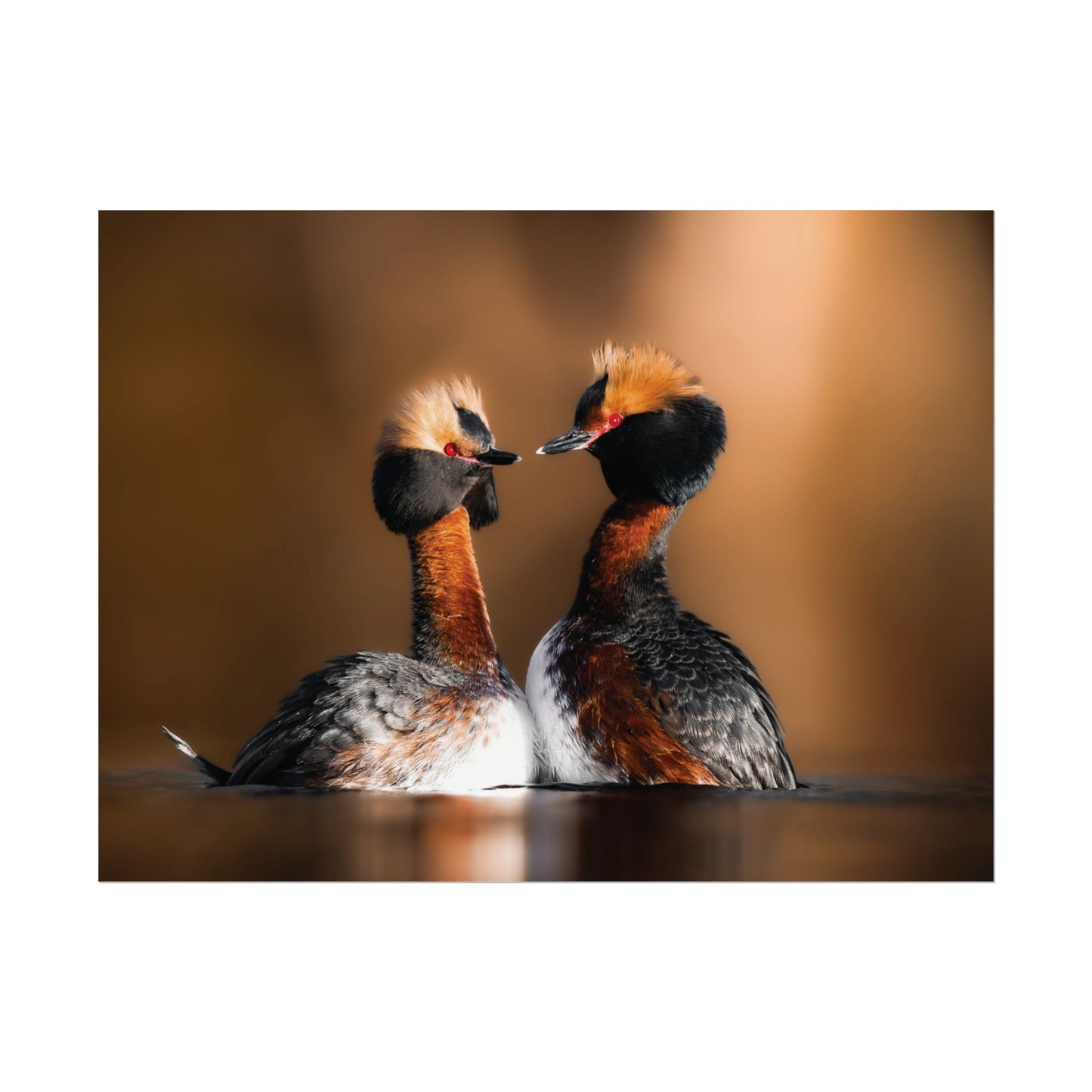 Mating Ritual poster