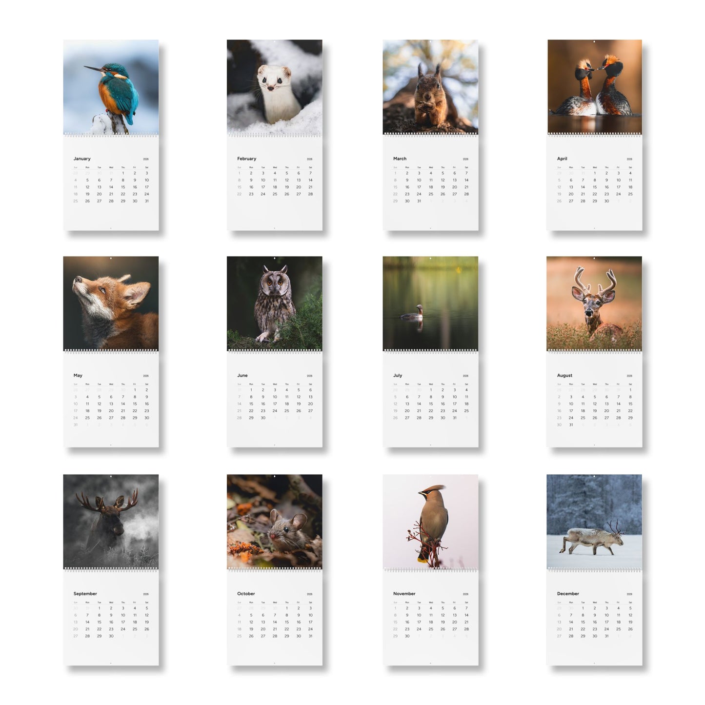 Wall Calendar Nature Photos from Finland 2026