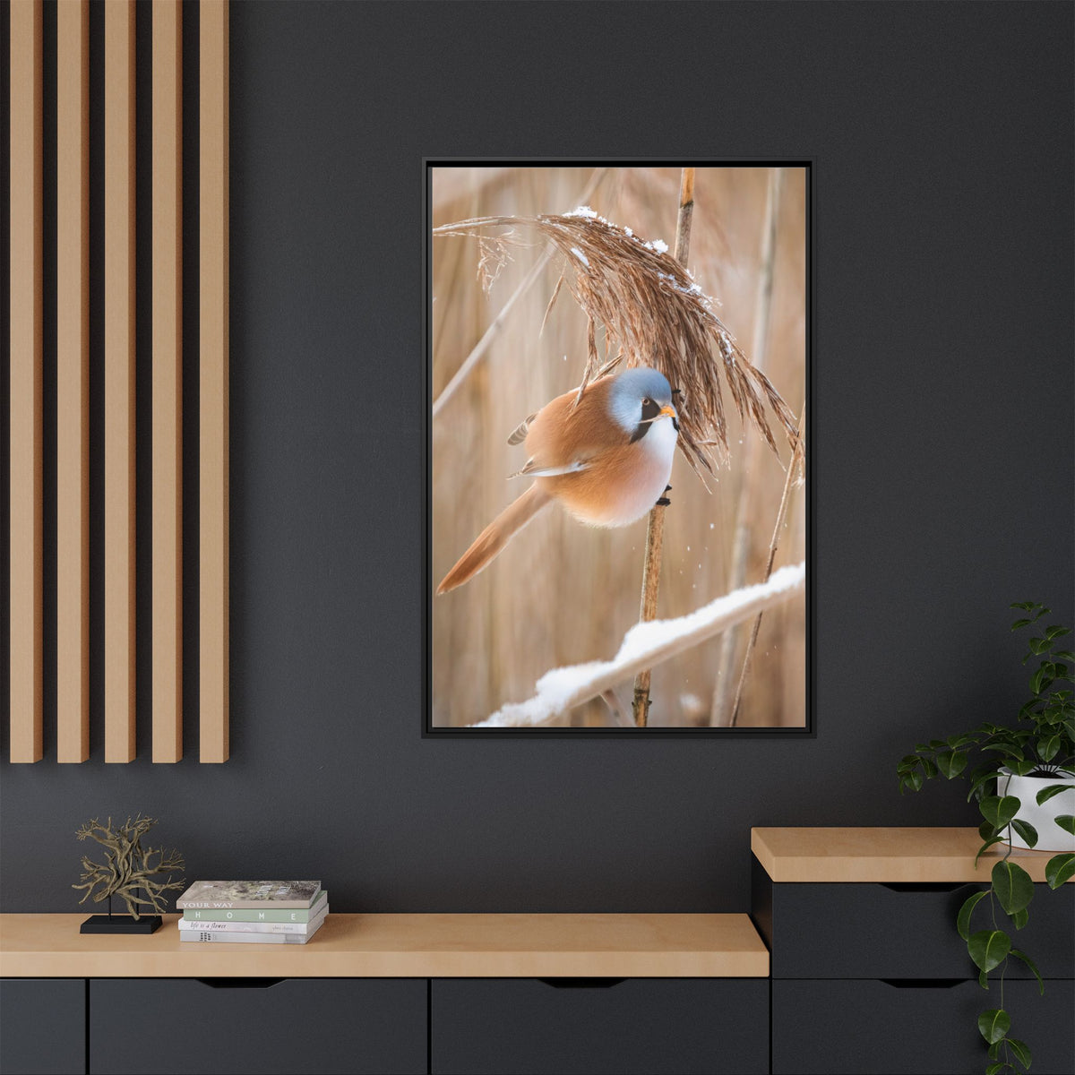 Framed Matte Canvas - Bearded Reedling Bird Photography (Winter Marsh)