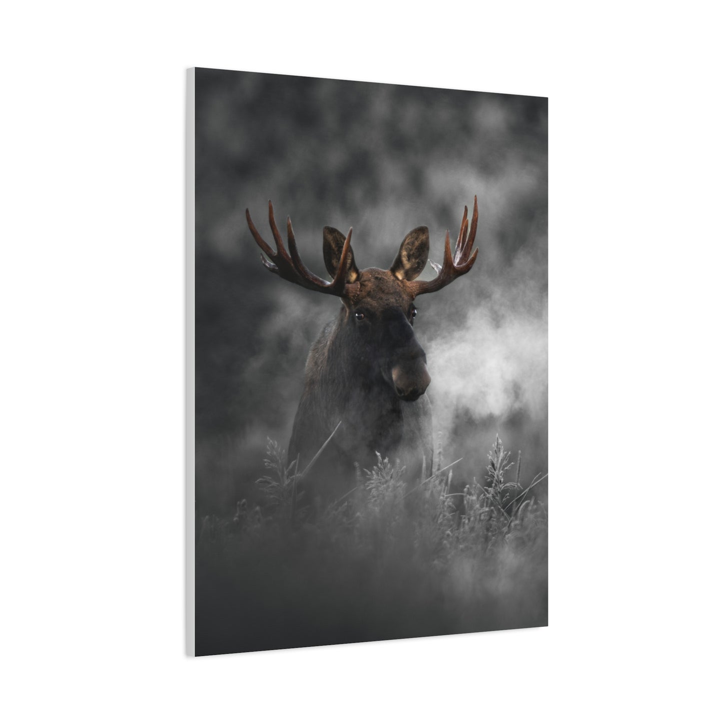 Mighty Moose