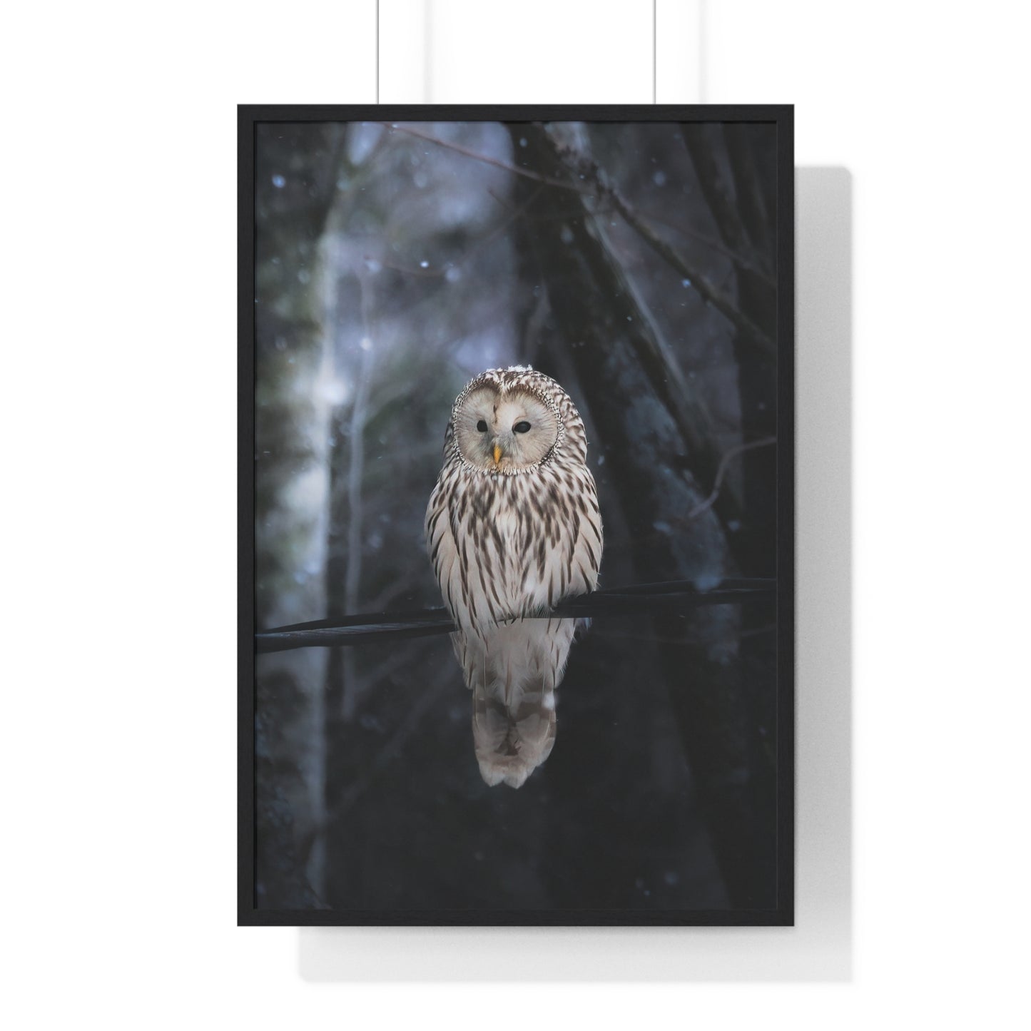 Winter Owl