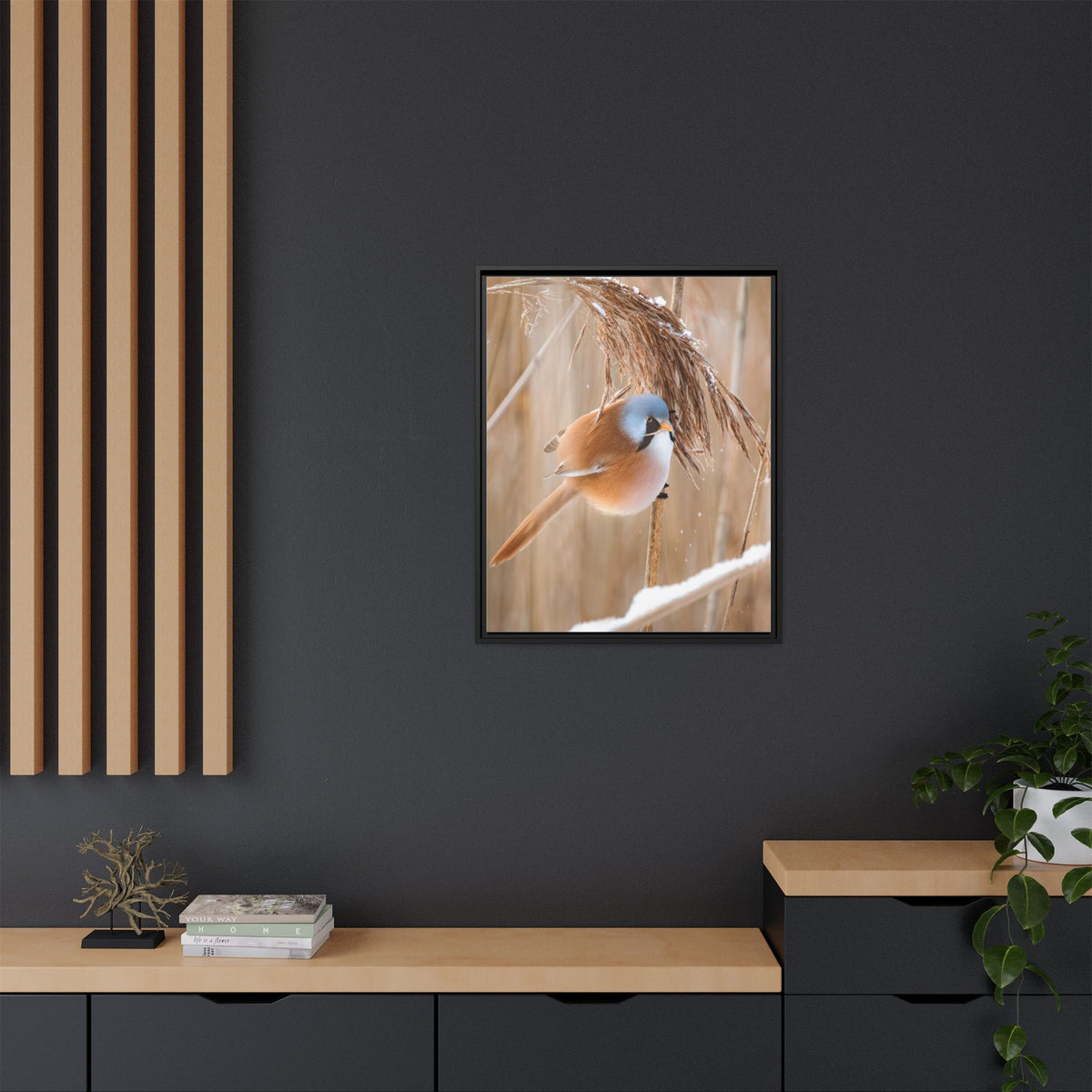 Framed Matte Canvas - Bearded Reedling Bird Photography (Winter Marsh)