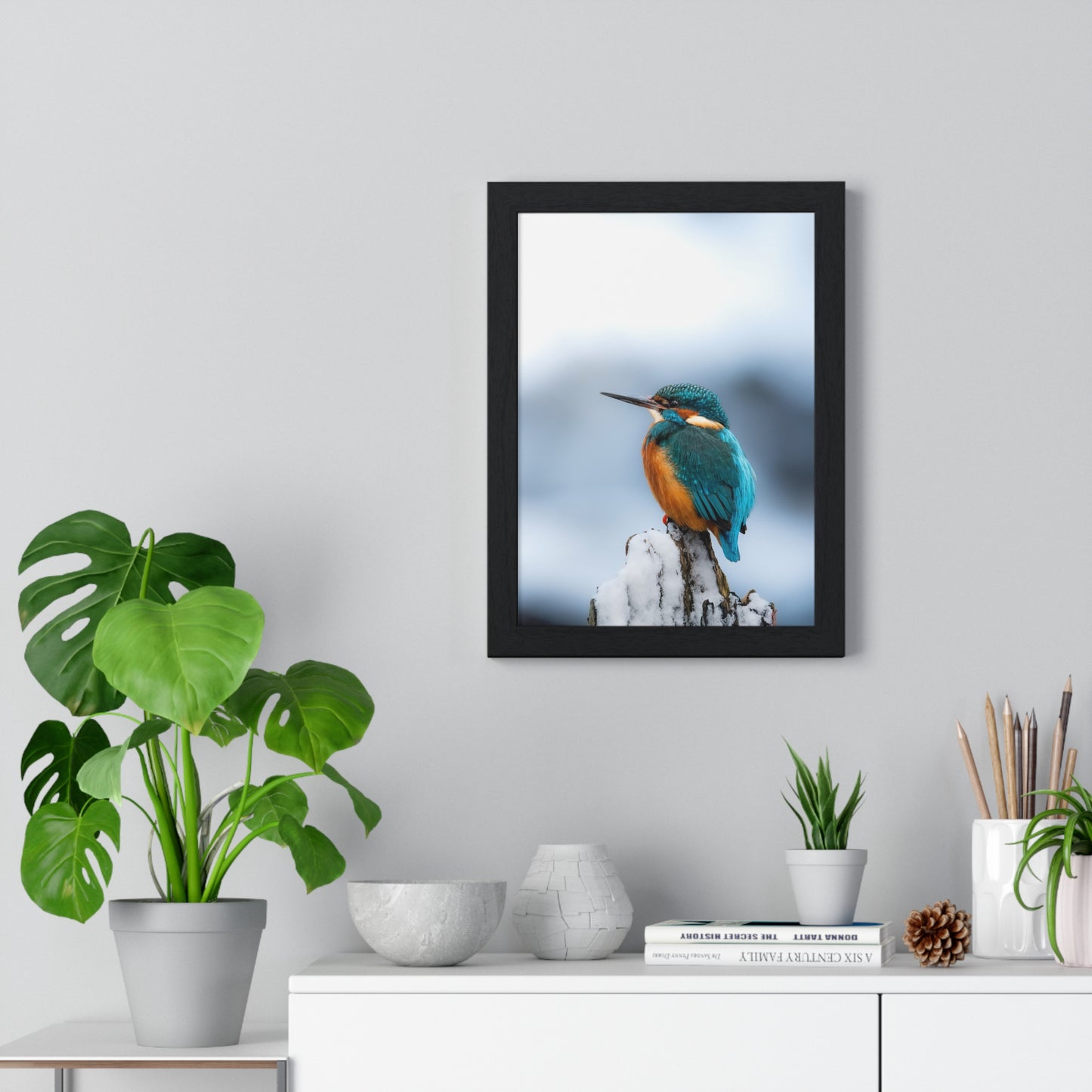 Kingfisher posing