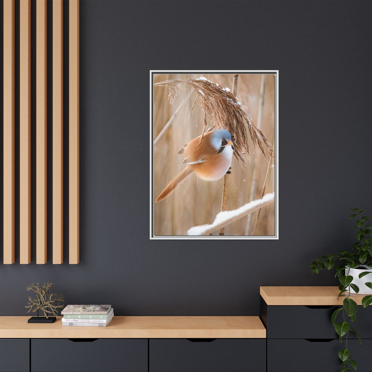 Framed Matte Canvas - Bearded Reedling Bird Photography (Winter Marsh)