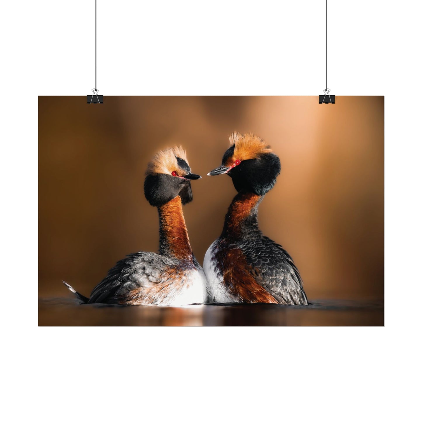 Mating Ritual poster