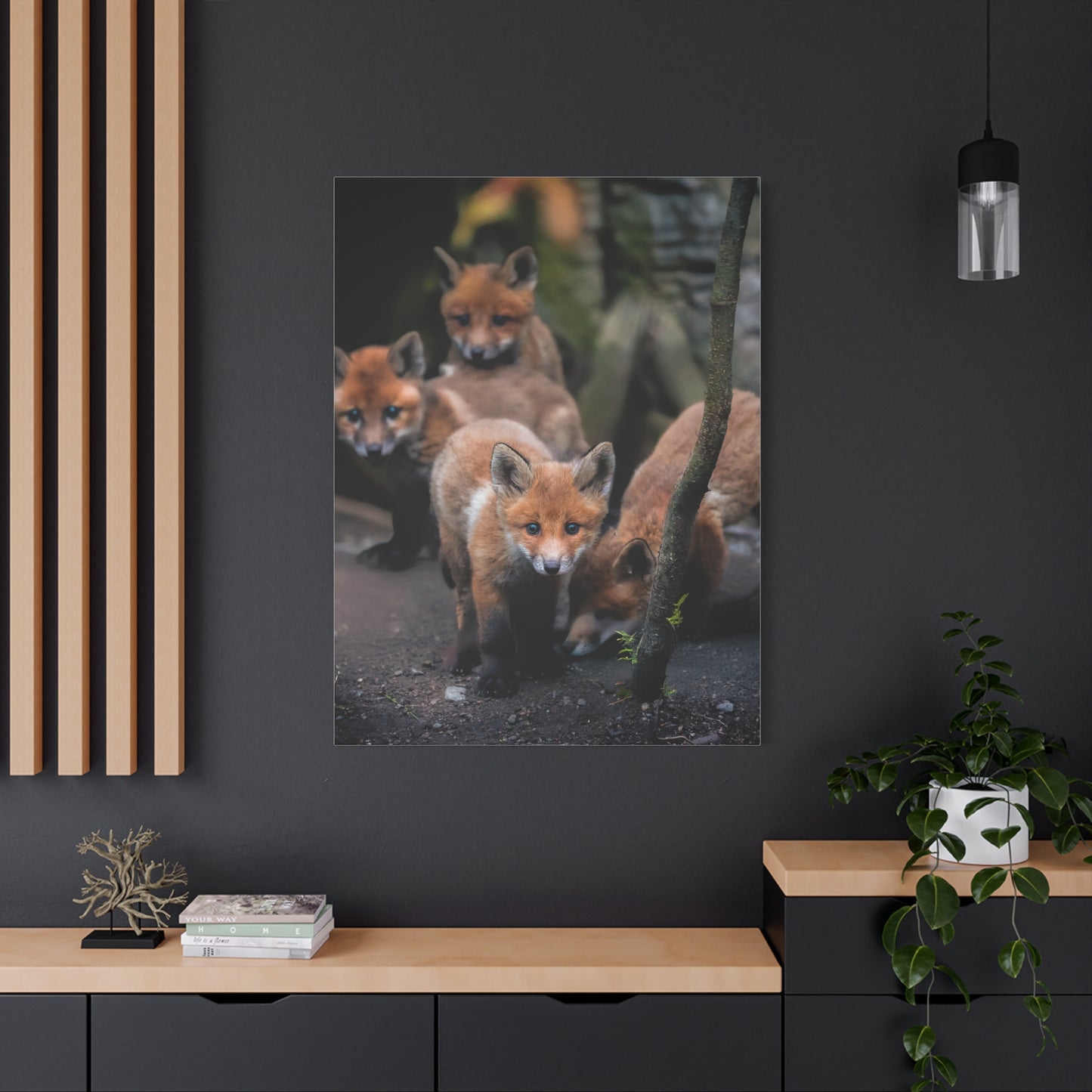 Fox Siblings
