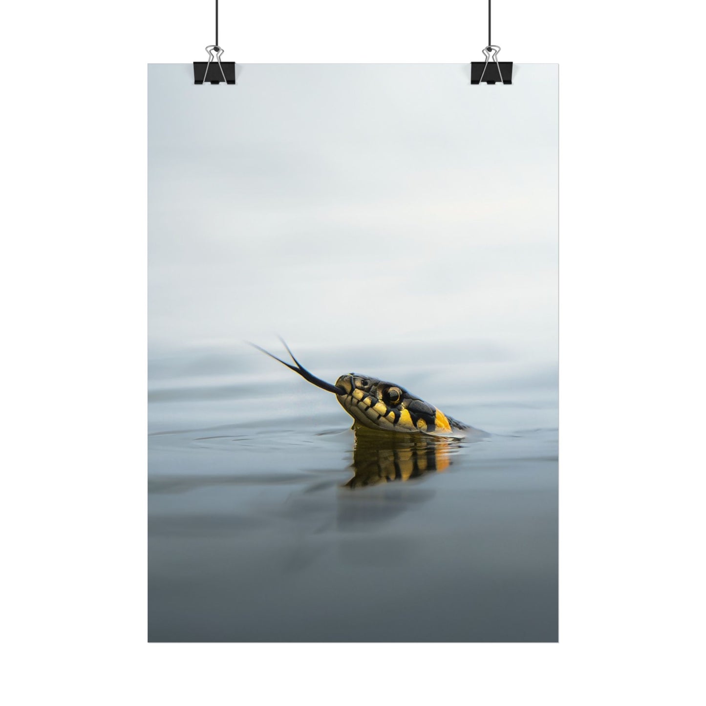 Swimming snake poster