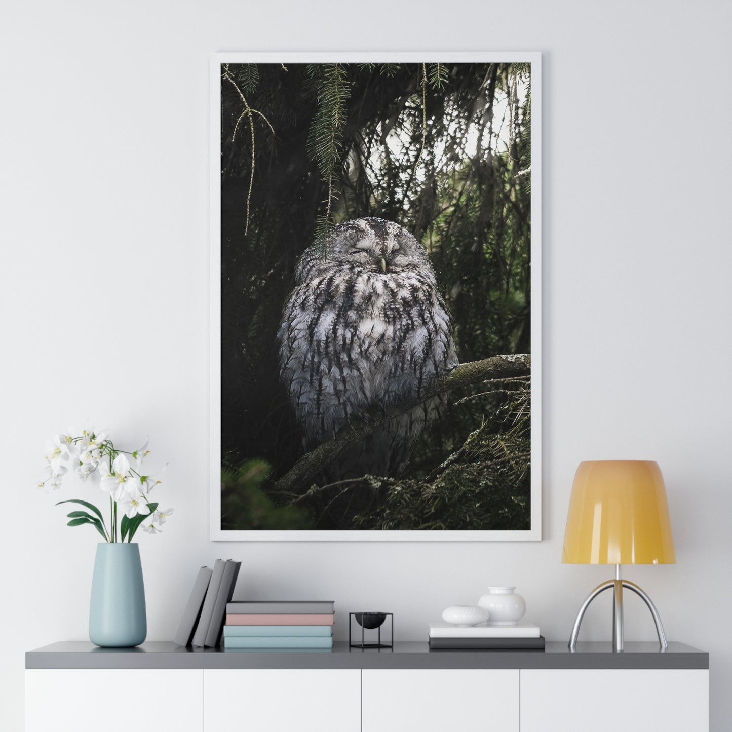 Sleepy Tawny Owl